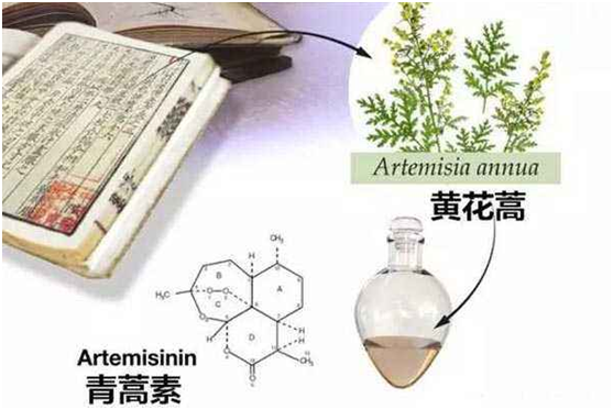 电竞下注官网(中国)有限公司,：向中医药看齐，与世界共享中医药文化(图1)